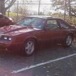 Meet your Posher, Darrell